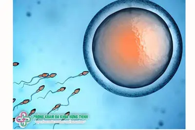 Có kinh nguyệt thì có thai không?