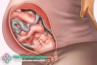 Mang thai 35 tuần - 40 tuần