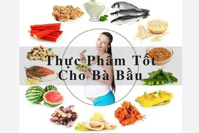 Thực phẩm tốt cho bà bầu và thai nhi