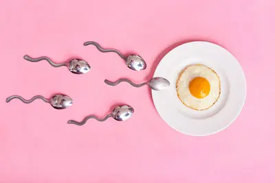 Ngày rụng trứng là gì?