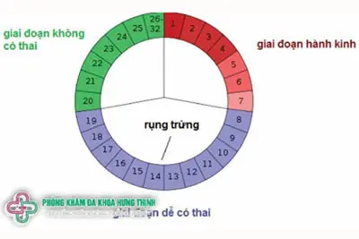 Ngày rụng trứng là ngày nào?