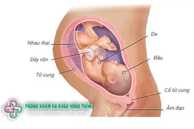 Những thay đổi của thai phụ khi thai nhi 36 tuần tuổi