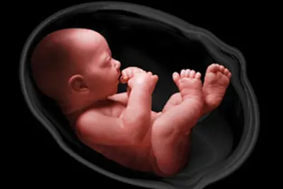 Thai 36 tuần nặng bao nhiêu kg và các chỉ số liên quan