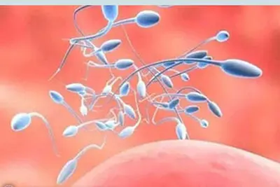 Vừa hết kinh 8 ngày quan hệ có thai không?