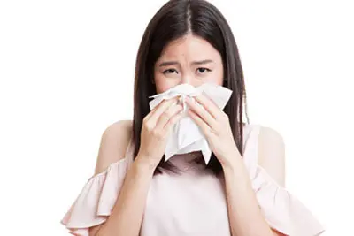 Cây sài đất trong chữa cảm cúm, hạ sốt