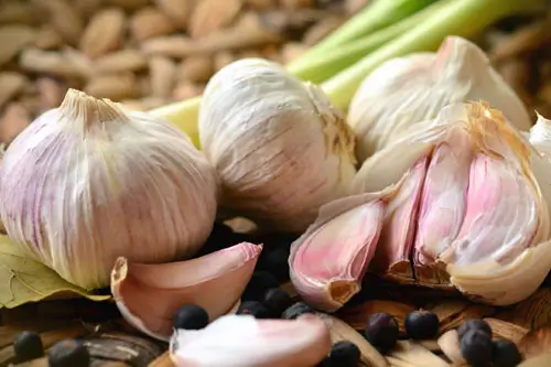 Cách chữa mụn rộp sinh dục nam, nữ bằng tỏi