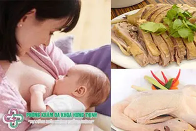 Mẹ bầu ăn thịt vịt có tốt không?