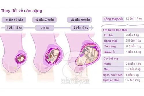 Sự thay đổi của cơ thể mẹ khi thai 34 tuần