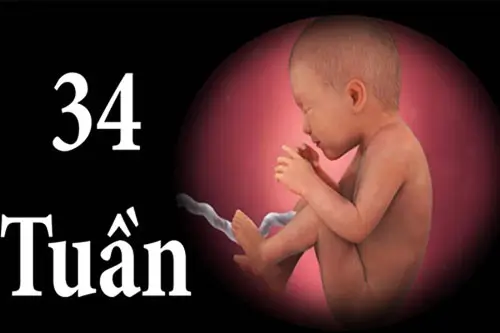 Thai 34 tuần là mấy tháng