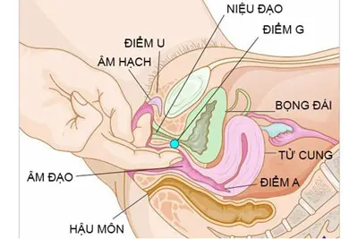 Bác sĩ hướng dẫn cách đặt thuốc âm đạo đúng cách