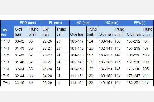 Chỉ số thai, hình ảnh, cân nặng của thai 17 tuần
