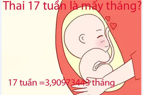 Thai 17 tuần là mấy tháng