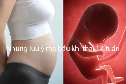 Những lưu ý mẹ bầu cần biết