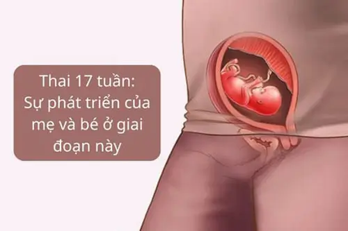 Những thay đổi của mẹ bầu khi thai 17 tuần