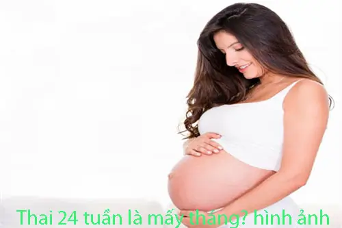 Thai 24 tuần là mấy tháng, hình ảnh?
