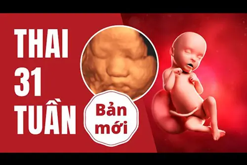 Thai 31 tuần là mấy tháng