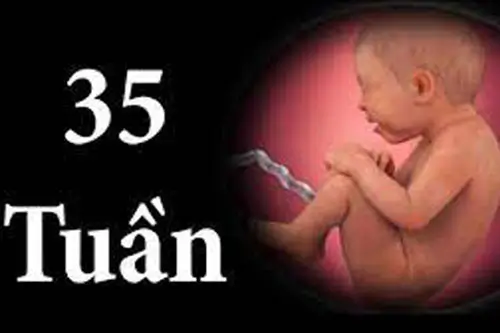 Thai 35 tuần là mấy tháng