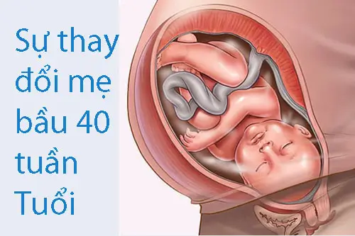 Sự thay đổi của mẹ bầu khi thai nhi 40 tuần