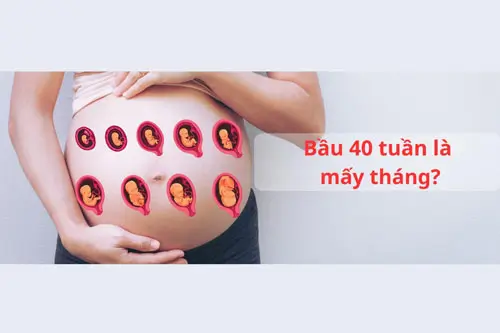 Thai 40 tuần là mấy tháng?