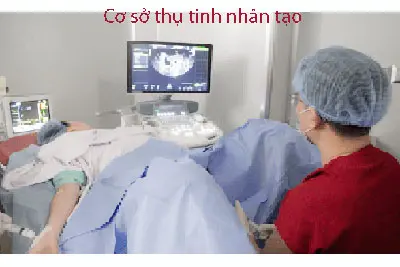 Cơ sở thụ tinh nhân tạo