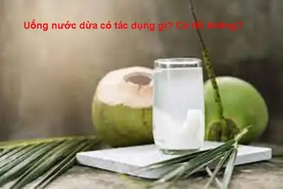 Uống nước dừa có tác dụng gì? Có tốt không?