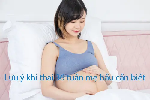 Lưu ý khi thai 36 tuần mẹ bầu cần biết