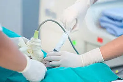 Xét nghiệm trước sinh là gì?