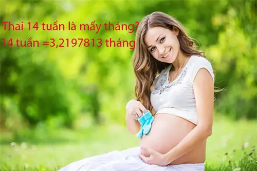 Thai 14 tuần là mấy tháng
