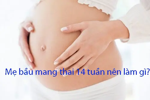 Mẹ bầu mang thai 14 tuần nên làm gì?
