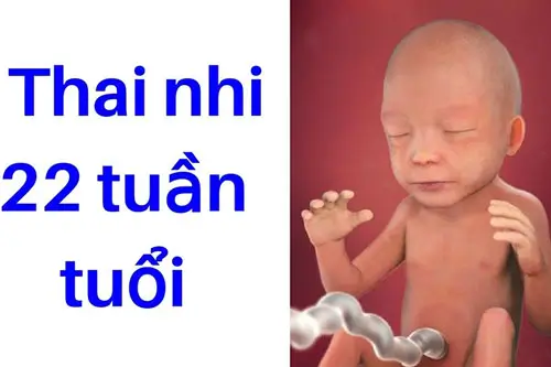 Thai 22 tuần là mấy tháng?
