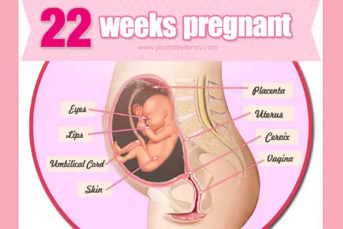Sự thay đổi của mẹ khi thai 22 tuần