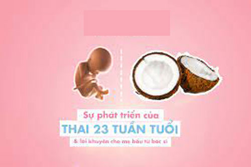 Thai 23 tuần phát triển như thế nào?