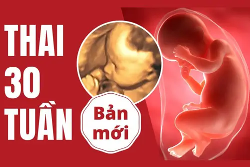 Thai 30 tuần là mấy tháng và các chỉ số cơ bản