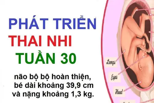 Những thay đổi của mẹ bầu khi thai 30 tuần