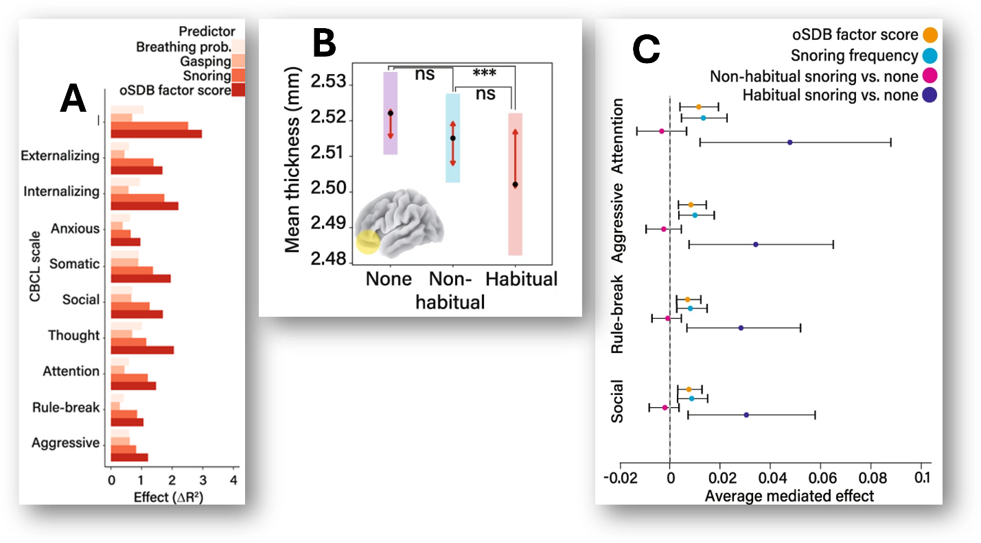 A screenshot of a computer