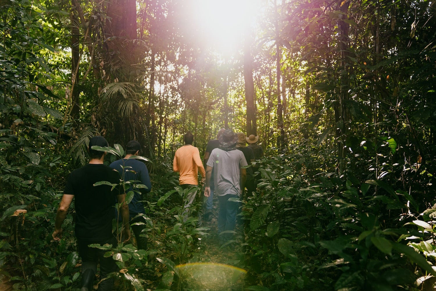 What if farms behaved like forests?