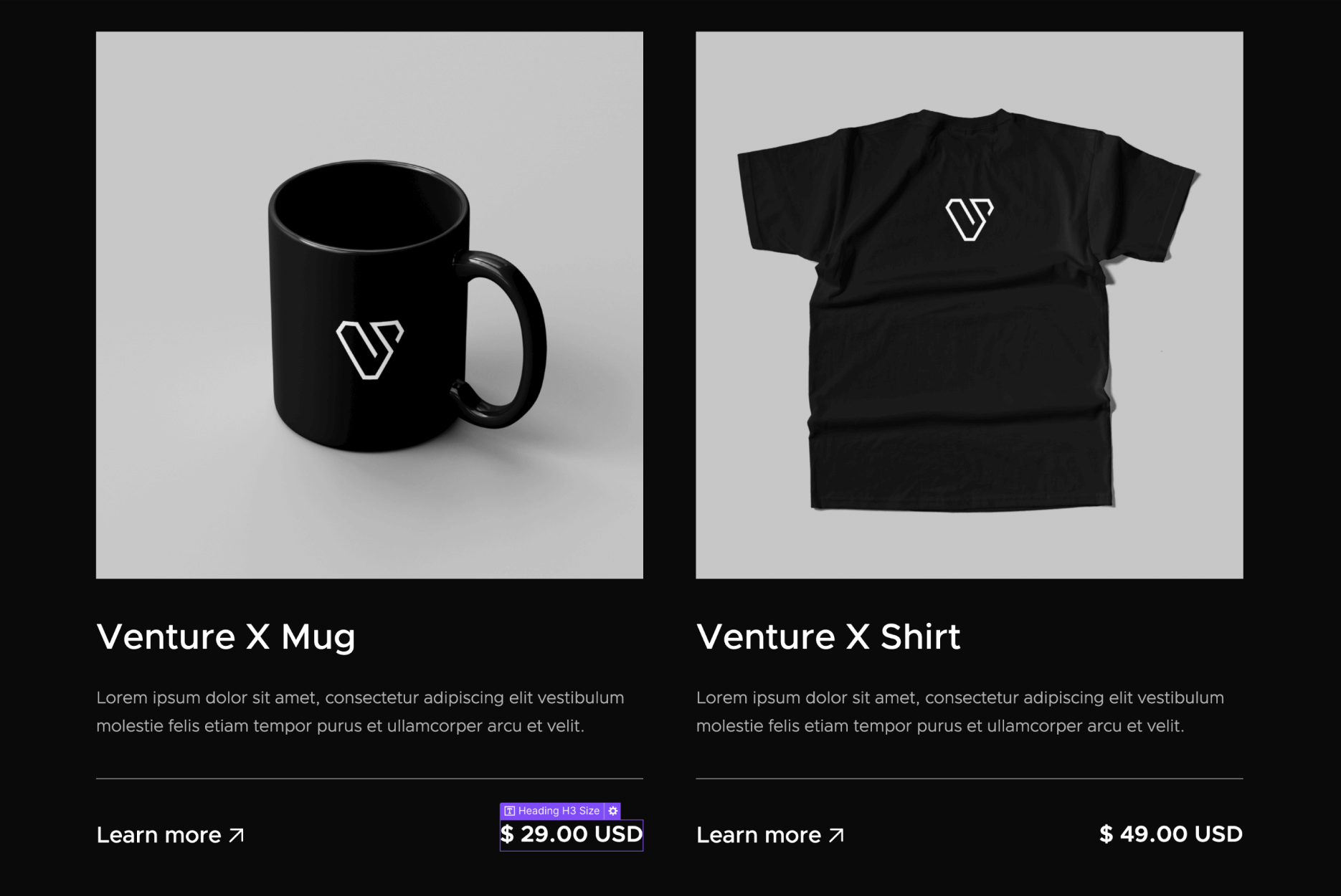 Ecommerce Content - Venture X Webflow Template