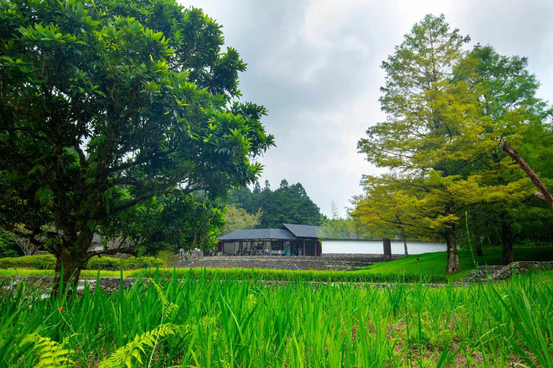Building on Rewilding Land: Lessons from an RIBA-nominated Architect