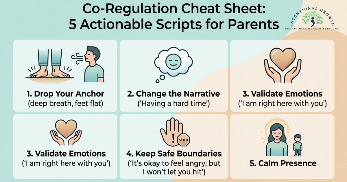 Co-regulation cheat sheet for parents showing 5 actionable scripts to handle child meltdowns by Intentional Growth Behavioral Health Services
