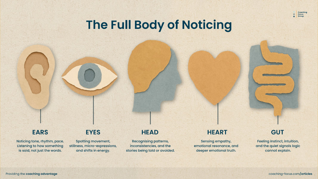 A textured torn-paper style infographic titled “The Full Body of Noticing” shows five abstract paper-cut icons representing the senses and awareness channels coaches use. From left to right, there is a layered paper ear, an eye with soft torn edges, a head silhouette, a heart shape, and a stylised paper gut. Each icon has a brief description underneath explaining how coaches notice with ears, eyes, head, heart, and gut. The background is a warm, neutral paper texture, creating a handcrafted and calm visual that aligns with coaching and human-centred leadership themes.