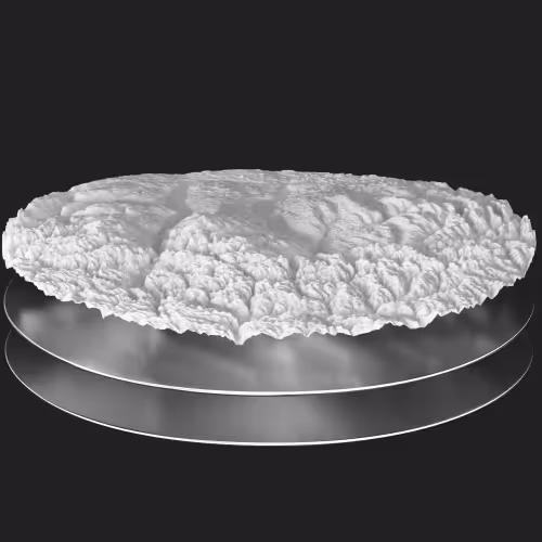 Three layered discs with the top disc showing a detailed white textured surface resembling a rough terrain or coral-like structure on a dark background.