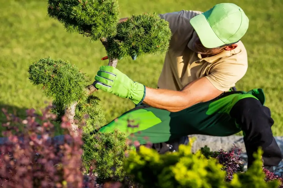 Planting and Garden Services