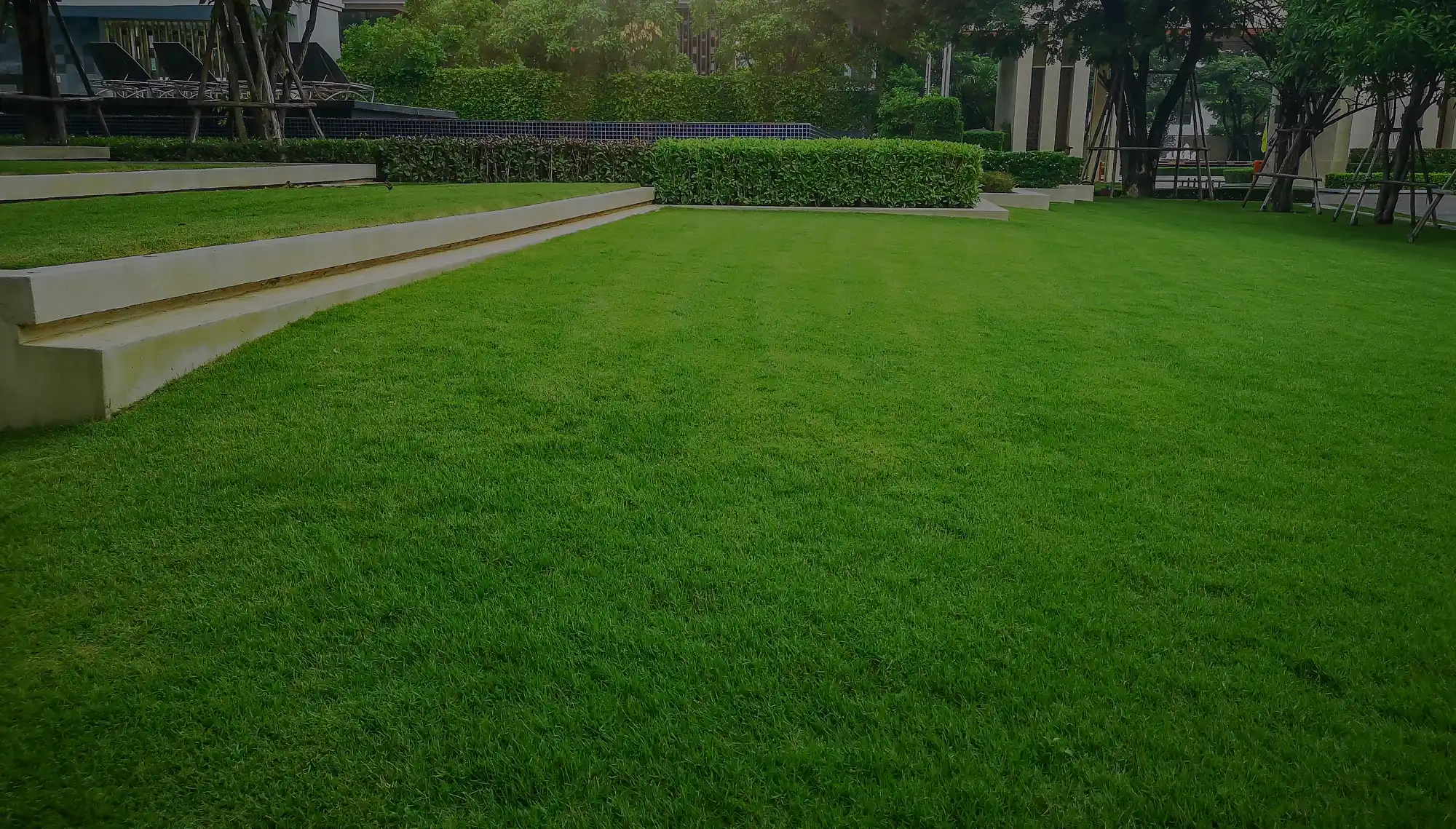 Mississauga Lawn Care