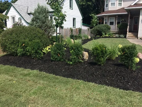 Ready To Start Your Project