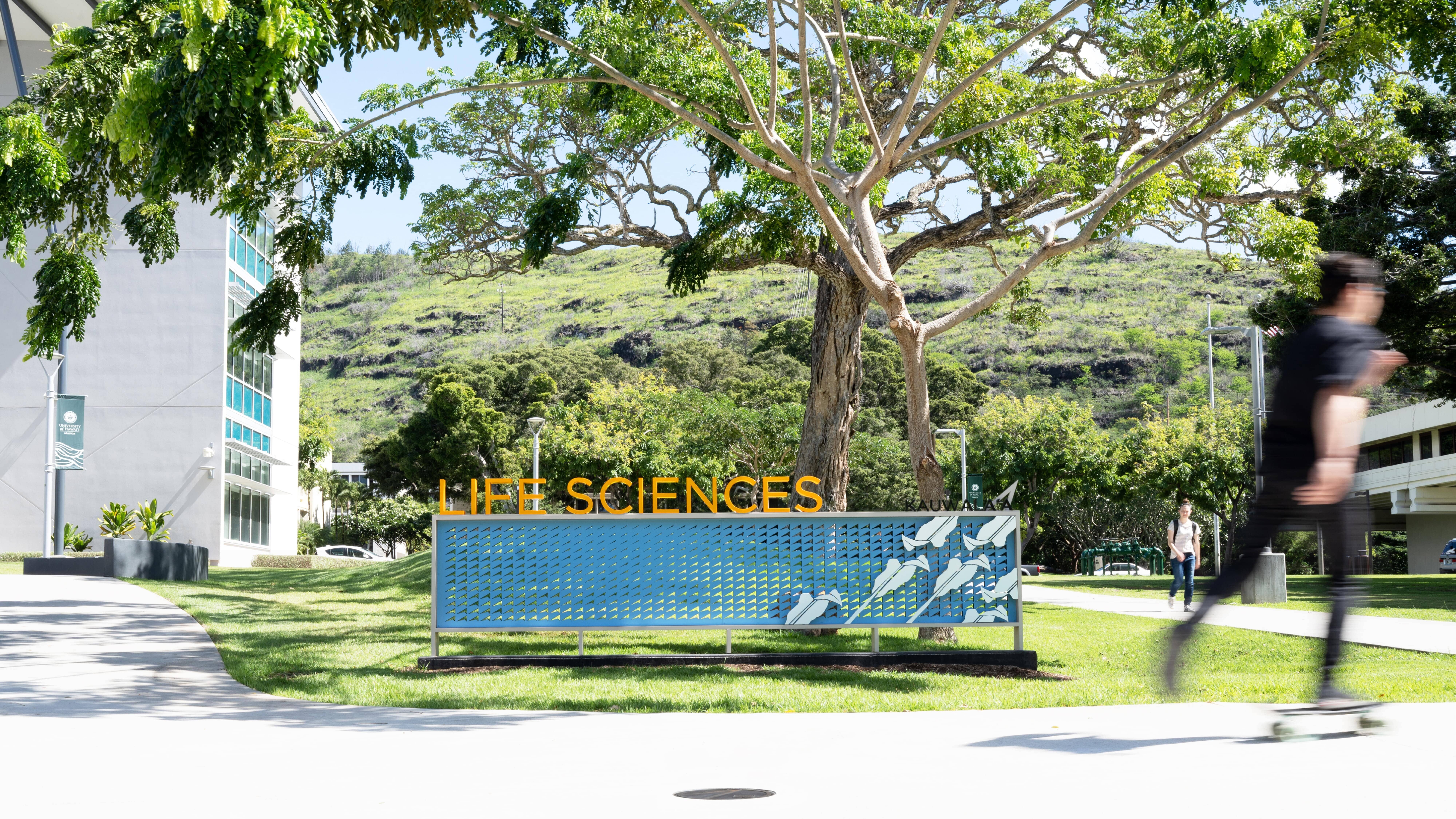 University of Hawaii Manoa exterior Life Sciences Building signage with Sig Zane pattern, designed by Two Twelve