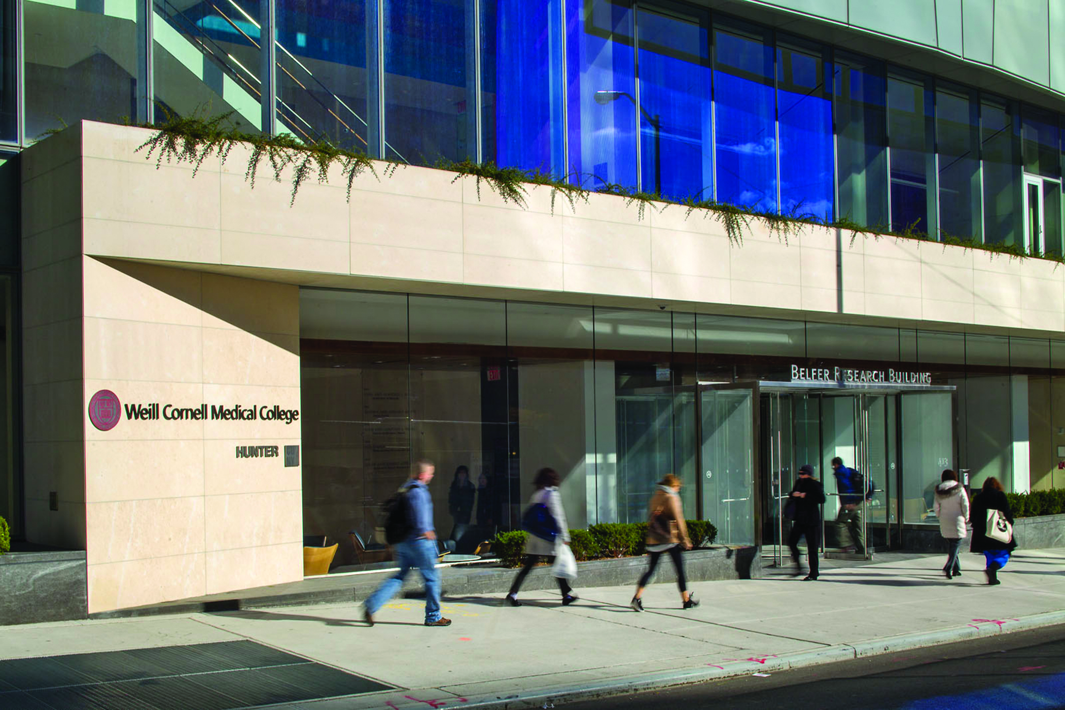 Weill Cornell Medical College Belfer Research Building entry identification, designed by Two Twelve