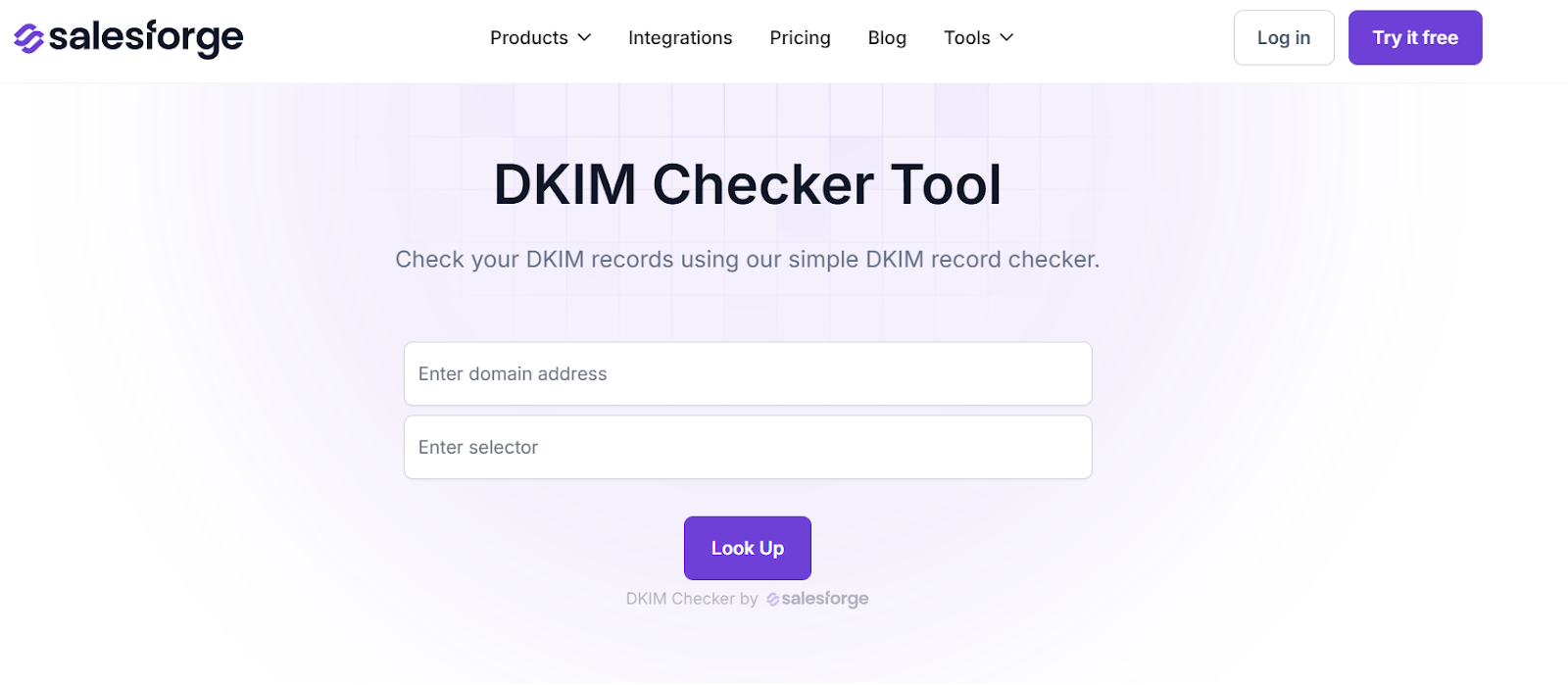 DKIM checker in Salesforge