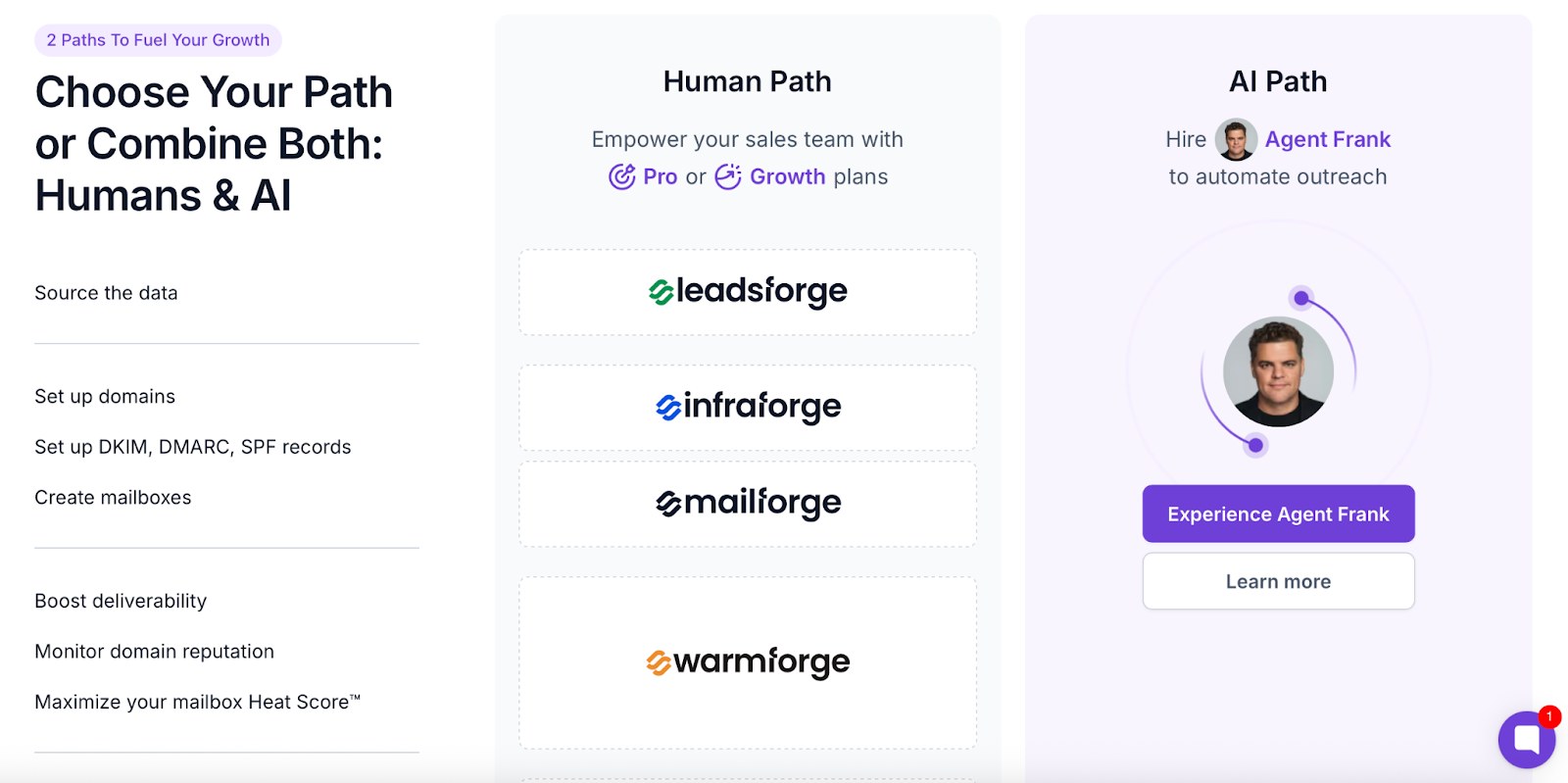 Salesforge two path for outreach