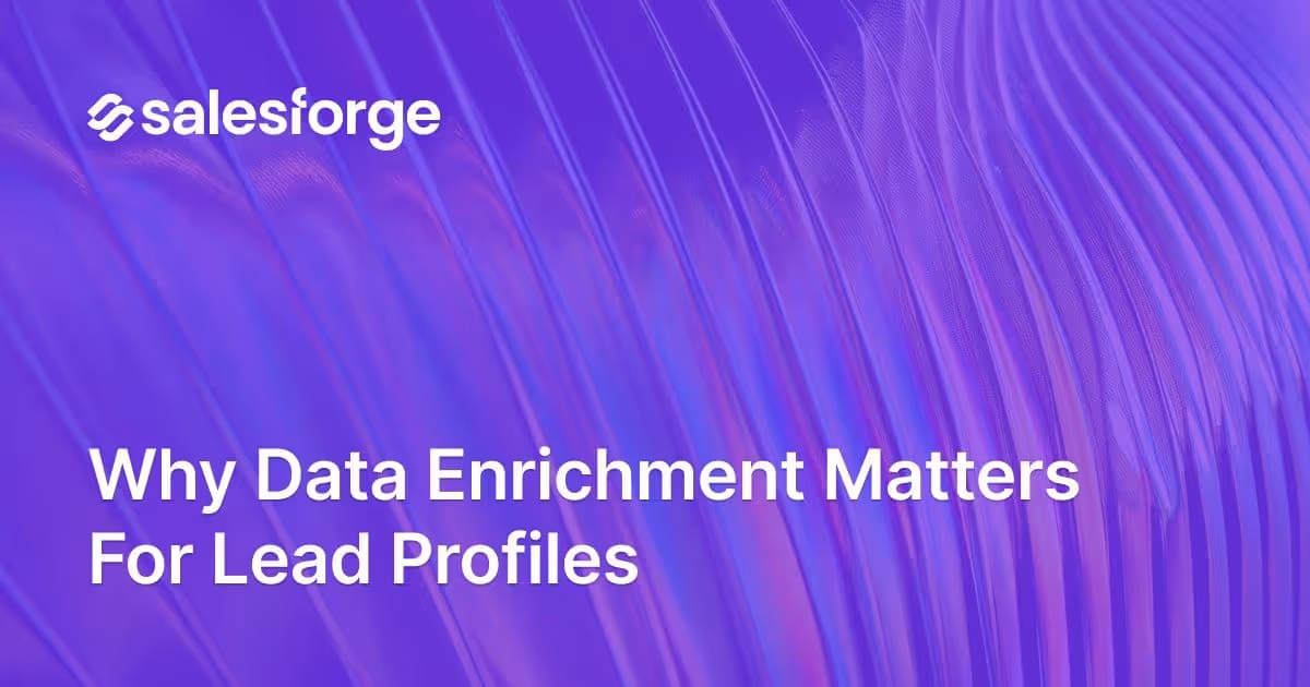 Why Data Enrichment Matters for Lead Profiles