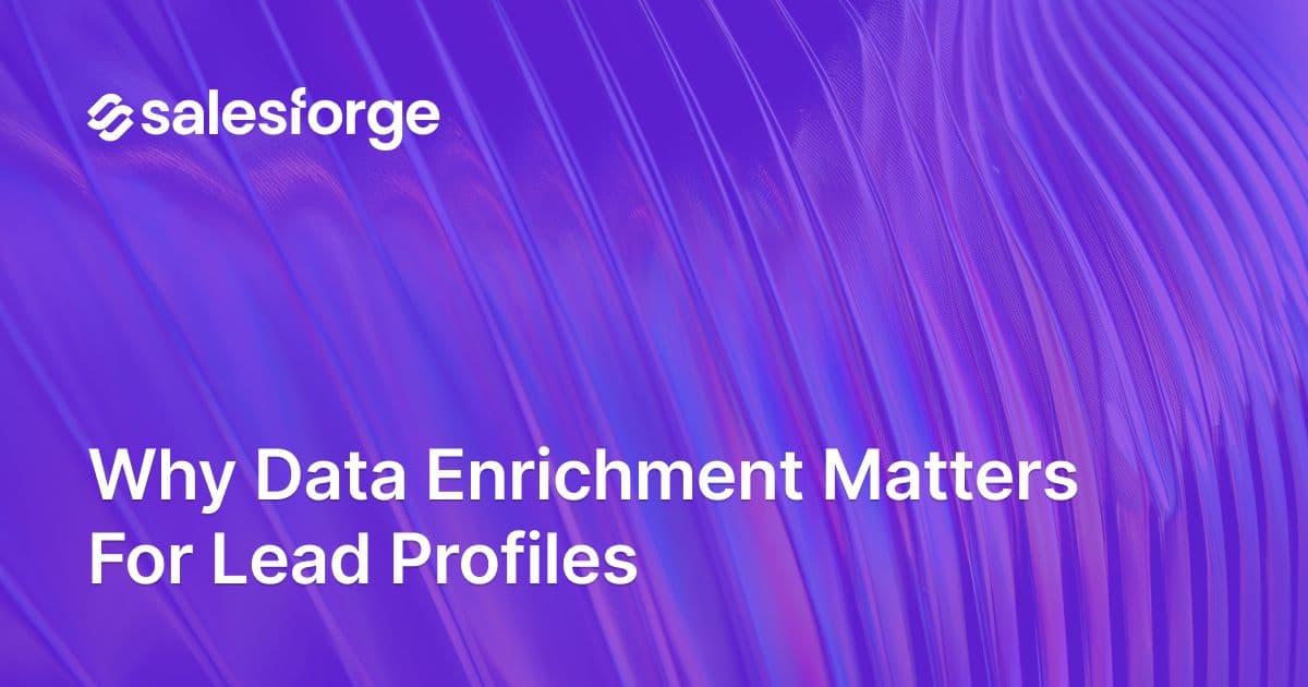 Why Data Enrichment Matters for Lead Profiles